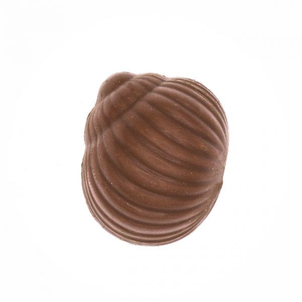 amaretto flavored chocolate truffle candy shaped like a shell