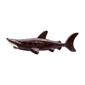 Image of Chocolate Shark, perfect for adding an adventurous flair to any celebration