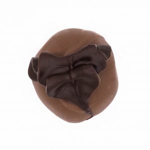 milk chocolate truffle with dark chocolate florish