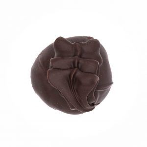 dark chocolate truffle with peanut butter interior